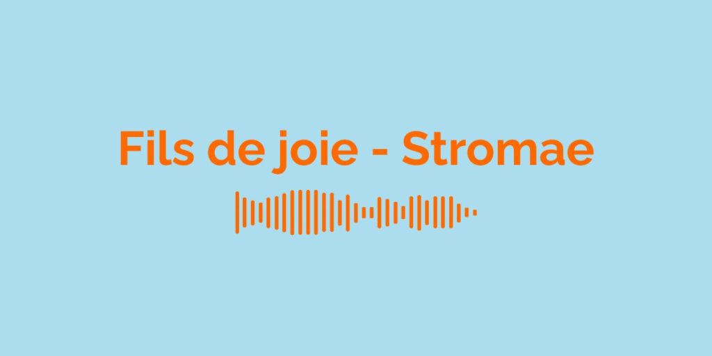 Fils de joie - Stromae / Meaning of the song