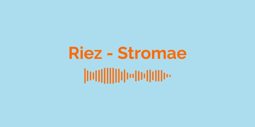 Riez - Stromae / Meaning of the song